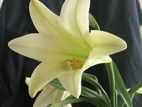 LENT AND EASTER